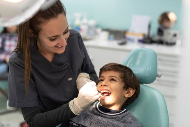 Best Emergency Dentist for Knocked-Out Tooth in Ladd, IL